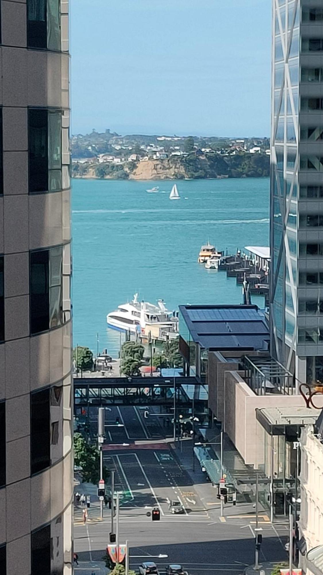 20 Pct Off Sky Stars Park Apartment Auckland Room photo
